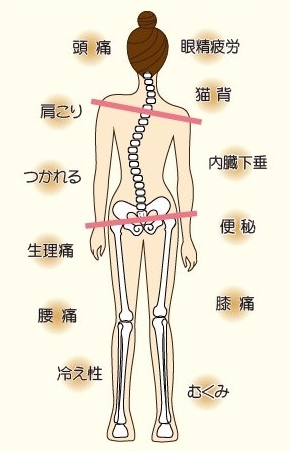 股関節痛 太ももの付け根の痛み しゅはら鍼灸整骨院 京都府亀岡市千代川町