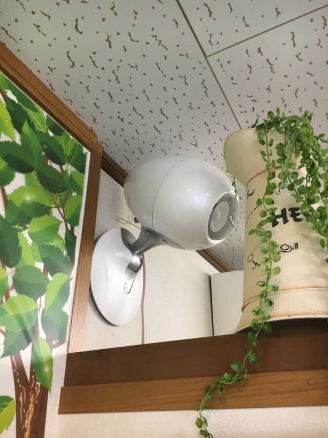 BGM(血液サラサラ効果のある音楽機器)
