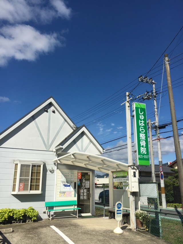 炭によるイヤシロチ化